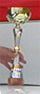 Pokal tildelt i Frankrig